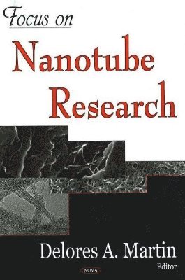 bokomslag Focus on Nanotube Research