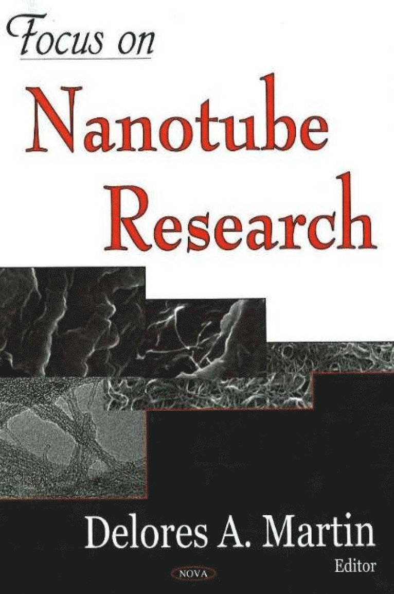 Delores A Martin - Focus on Nanotube Research, Inbunden