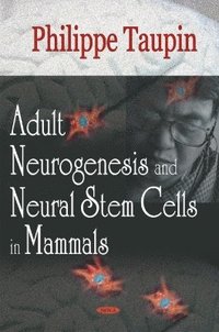 bokomslag Adult Neurogenesis & Neural Stem Cells in Mammals