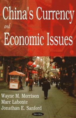bokomslag China's Currency & Economic Issues