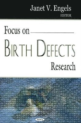 bokomslag Focus on Birth Defects Research