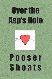 bokomslag Over the Asp's Hole