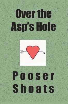 bokomslag Over the Asp's Hole