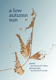 Howard Stein, David P. Levine - A Low Autumn Sun, Häftad