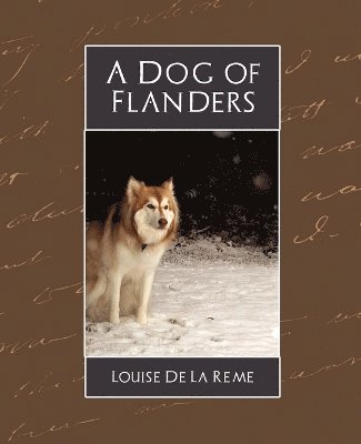 bokomslag A Dog of Flanders