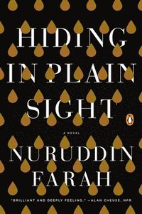 bokomslag Hiding in Plain Sight: Hiding in Plain Sight: A Novel