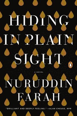 Hiding in Plain Sight: Hiding in Plain Sight: A Novel 1