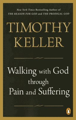 Walking with God Through Pain and Suffering 1