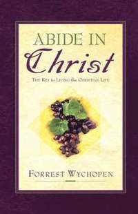 bokomslag Abide In Christ