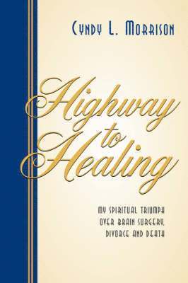 bokomslag Highway to Healing