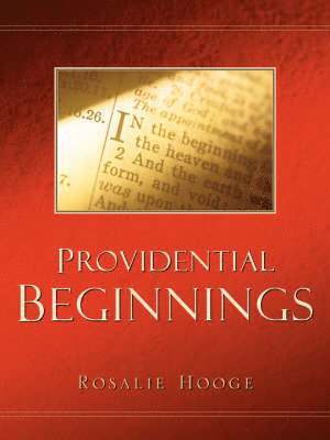 bokomslag Providential Beginnings