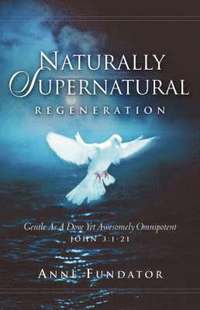 bokomslag Naturally Supernatural