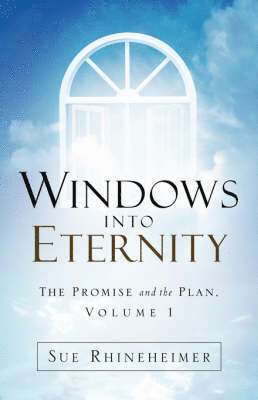 Sue Rhineheimer - Windows Into Eternity, Häftad