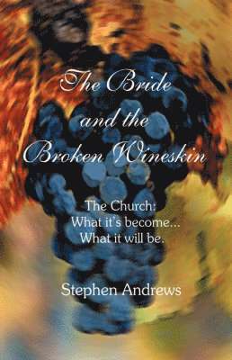 Stephen Andrews - Bride and the Broken Wineskin, Häftad