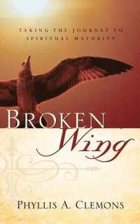 bokomslag Broken-Wing