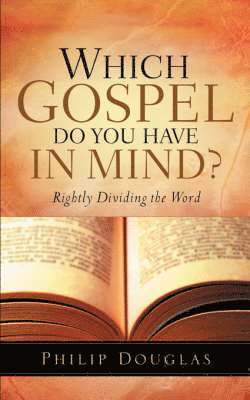 bokomslag Which Gospel Do You Have In Mind?