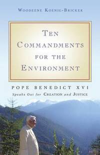 bokomslag Ten Commandments for the Environment
