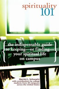 bokomslag Spirituality 101