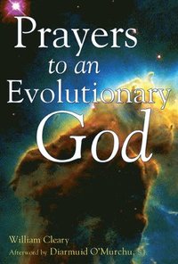 bokomslag Prayers to an Evolutionary God