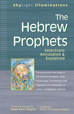 Rami M. Shapiro - Hebrew Prophets, Häftad