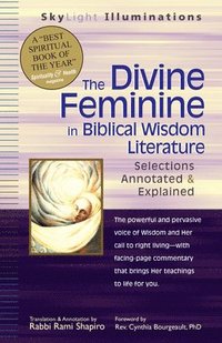 bokomslag The Divine Feminine in Biblical Wisdom Literature