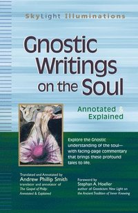 bokomslag Gnostic Writings on the Soul: Annotated & Explained