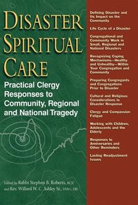 bokomslag Disaster Spiritual Care