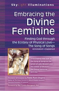 bokomslag Embracing the Divine Feminine