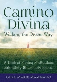 bokomslag Camino Divina--Walking the Divine Way