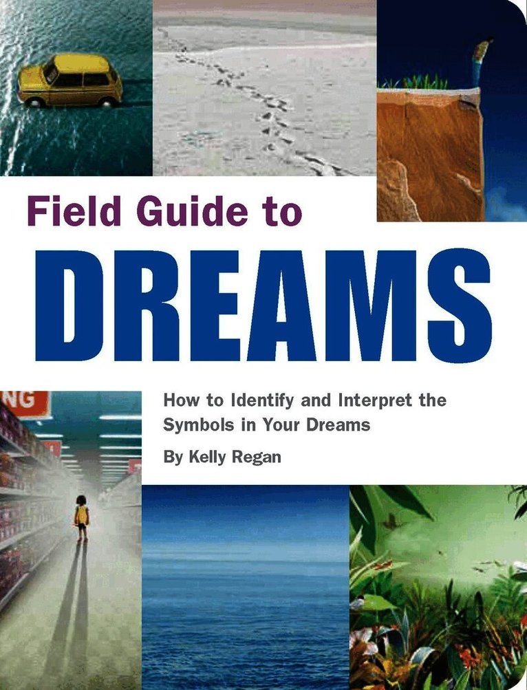 Field Guide to Dreams