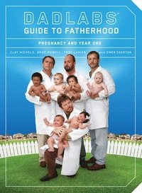 bokomslag Dadlabs' Guide to Fatherhood