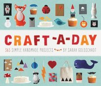 bokomslag Craft-a-Day