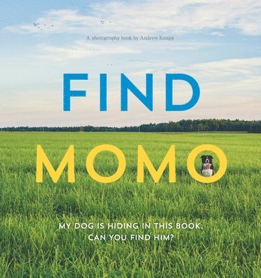 bokomslag Find Momo