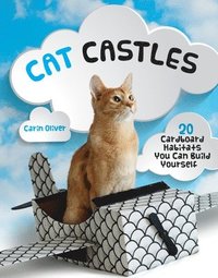 bokomslag Cat Castles