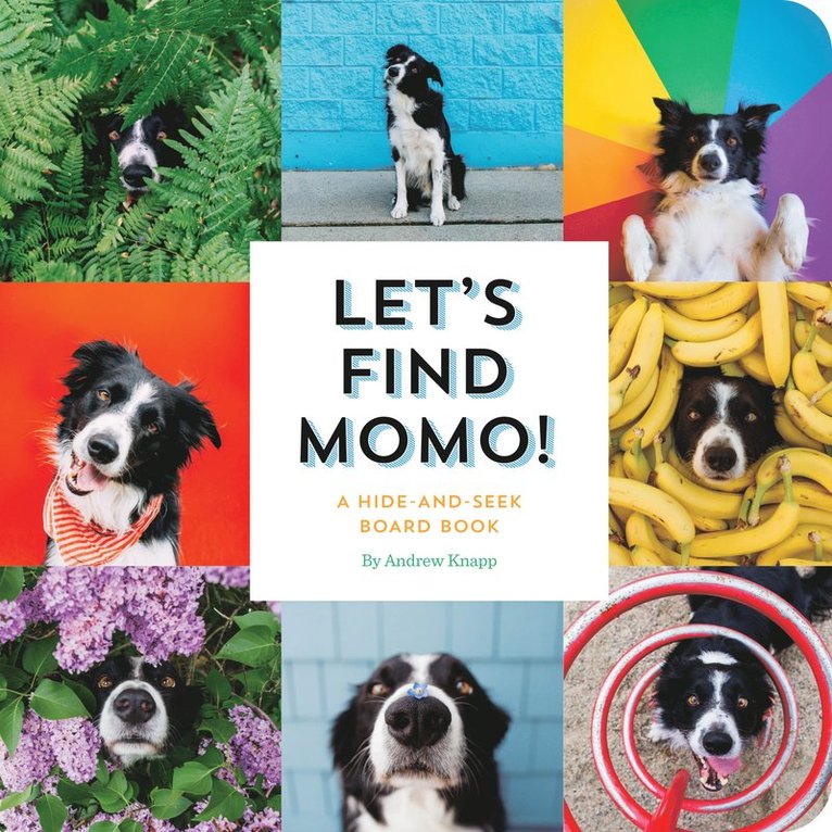 Let's Find Momo! 1