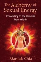 bokomslag Alchemy of Sexual Energy