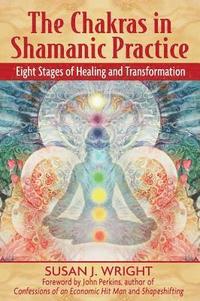 bokomslag The Chakras in Shamanic Practice