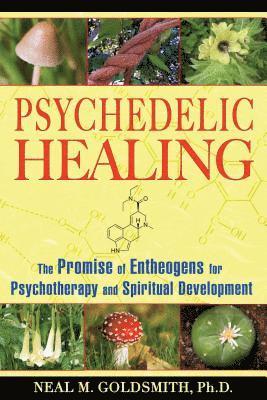 Psychedelic Healing 1