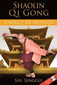 bokomslag Shaolin Qi Gong