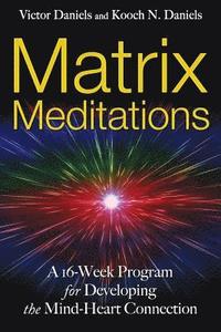 bokomslag Matrix Meditations