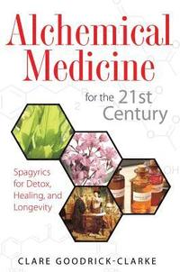 bokomslag Alchemical Medicine for the 21st Century