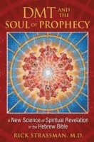 bokomslag DMT and the Soul of Prophecy