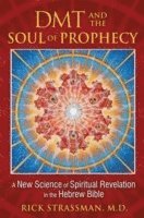 Rick Strassman - DMT and the Soul of Prophecy, Häftad