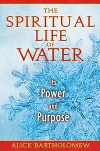 bokomslag Spiritual Life Of Water