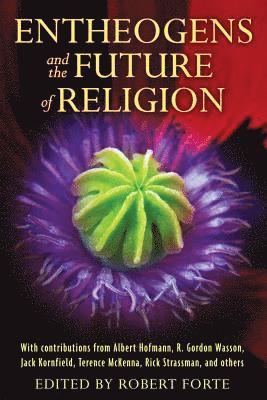 bokomslag Entheogens and the Future of Religion