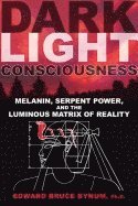 bokomslag Dark Light Consciousness