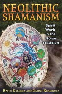 bokomslag Neolithic Shamanism