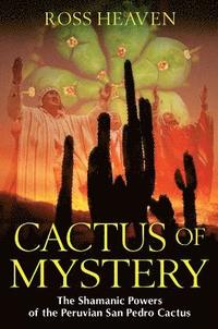bokomslag Cactus of Mystery