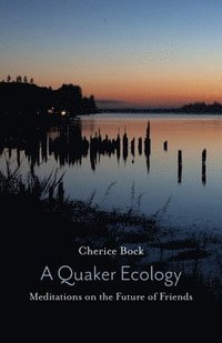bokomslag A Quaker Ecology: Meditations on the Future of Friends