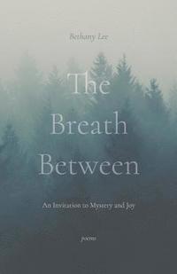 bokomslag The Breath Between: An Invitation to Mystery and Joy